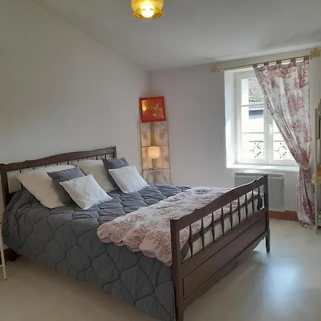 Maison En Pierres Renovee Avec Patio A - Fr-1-489-191 * Ferrieres-sur-Sichon