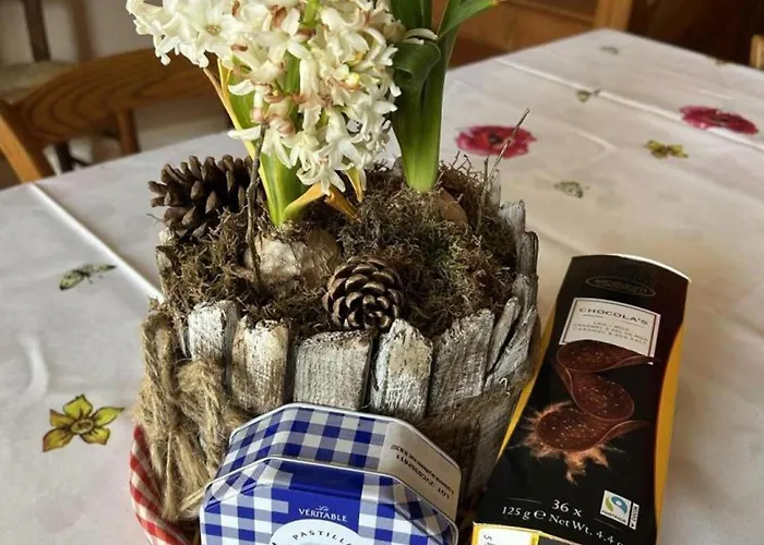 Maison En Pierres Renovee Avec Patio A - Fr-1-489-191 Σπίτι διακοπών